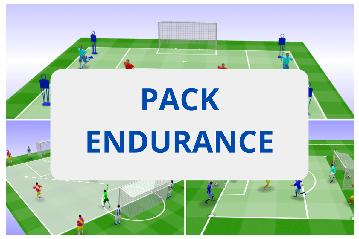 PACK ENDURANCE (310 EXERCICES SOUS FORMAT PDF)